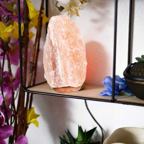 jedinstvena slana lampa